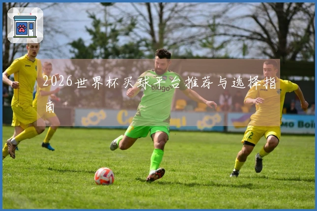 2026世界杯买球平台推荐与选择指南