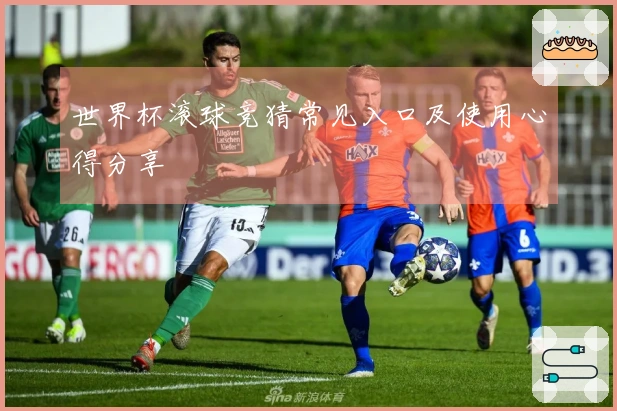 世界杯滚球竞猜常见入口及使用心得分享