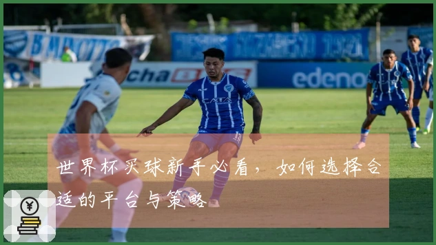 世界杯买球新手必看，如何选择合适的平台与策略
