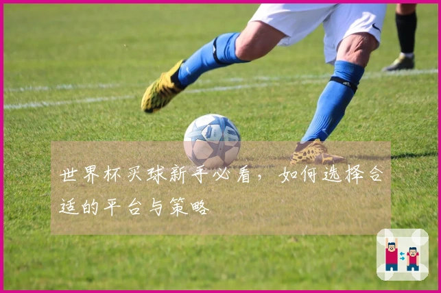 世界杯买球新手必看，如何选择合适的平台与策略